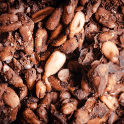 GREEN'GNOLA - Cacao Cru Plein d'vie